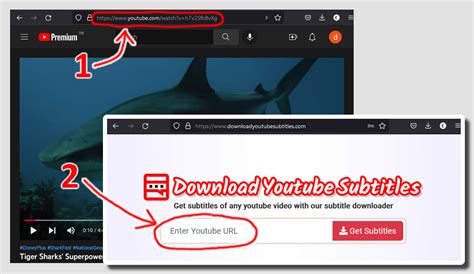 Downloader de legendas do Youtube